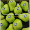 /msite/products/detail/productid/54855491/id/542998.html